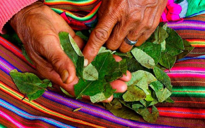 O que é o ACULLICO e por que tem um Dia Nacional na Bolívia?