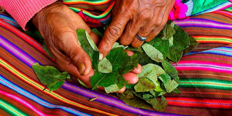 O que é o ACULLICO e por que tem um Dia Nacional na Bolívia?