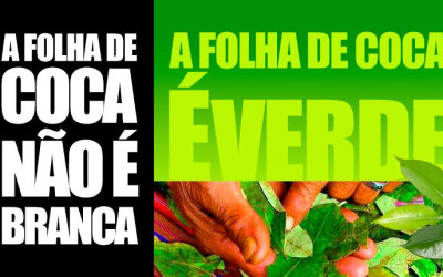 A importância da informação e conhecimento na despenalização da folha da coca no Brasil