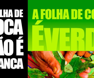 A importância da informação e conhecimento na despenalização da folha da coca no Brasil