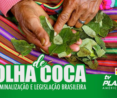 Despenalização da FOLHA DE COCA no Brasil?