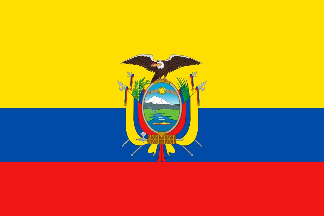 Quinta doação - Programa solidário atenção comunidade equatoriana em sp