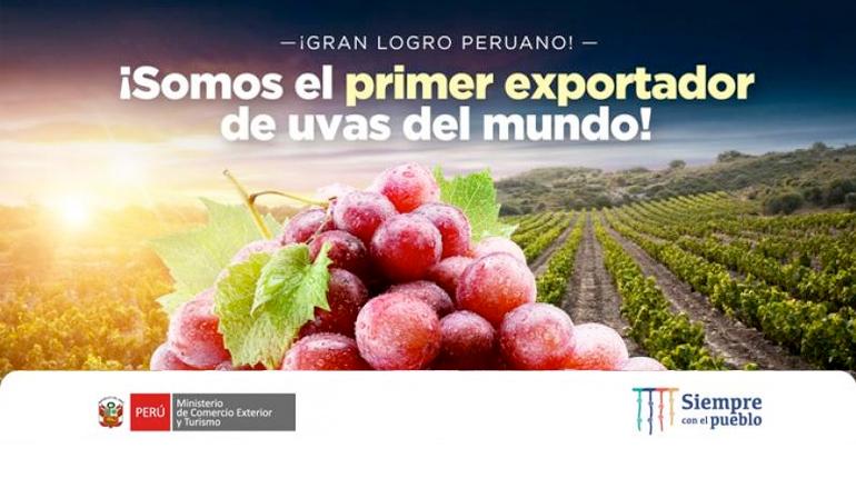 O sucesso das exportações de uva fresca no Peru: líder mundial no mercado dessa fruta.